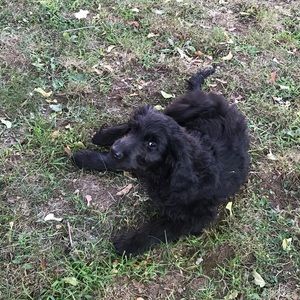 Meet your Posher, Barbara